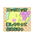 【エッホエッホ編1】オカメインコちゃん（個別スタンプ：17）