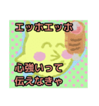 【エッホエッホ編1】オカメインコちゃん（個別スタンプ：25）