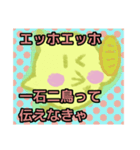 【エッホエッホ編1】オカメインコちゃん（個別スタンプ：27）