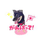 豆柴のモモちゃん！（個別スタンプ：7）