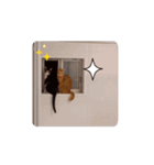 愉快なCATたち（個別スタンプ：3）