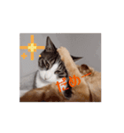 愉快なCATたち（個別スタンプ：4）