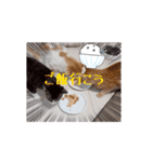 愉快なCATたち（個別スタンプ：5）