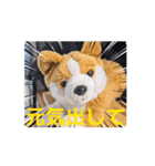 周りから訴えかけてくるたたみスタンプ（個別スタンプ：4）