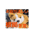 周りから訴えかけてくるたたみスタンプ（個別スタンプ：5）