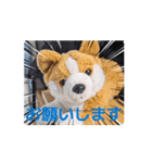周りから訴えかけてくるたたみスタンプ（個別スタンプ：6）