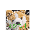 周りから訴えかけてくるたたみスタンプ（個別スタンプ：9）