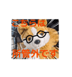 周りから訴えかけてくるたたみスタンプ（個別スタンプ：16）