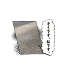 ハクちゃんの日常(猫)（個別スタンプ：2）