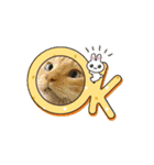 ハクちゃんの日常(猫)（個別スタンプ：15）