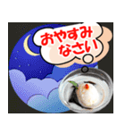 大人も使える丁寧なご挨拶(Food ver.）（個別スタンプ：7）