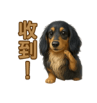てんてんワンちゃん物語（個別スタンプ：3）