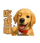 てんてんワンちゃん物語（個別スタンプ：7）
