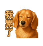 てんてんワンちゃん物語（個別スタンプ：10）