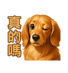 てんてんワンちゃん物語（個別スタンプ：12）