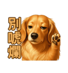 てんてんワンちゃん物語（個別スタンプ：13）