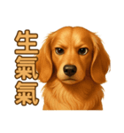 てんてんワンちゃん物語（個別スタンプ：14）