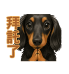 てんてんワンちゃん物語（個別スタンプ：17）