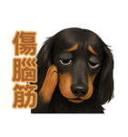 てんてんワンちゃん物語（個別スタンプ：20）