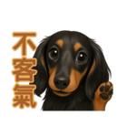 てんてんワンちゃん物語（個別スタンプ：21）