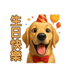 てんてんワンちゃん物語（個別スタンプ：22）