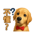 てんてんワンちゃん物語（個別スタンプ：23）