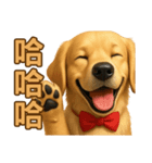 てんてんワンちゃん物語（個別スタンプ：24）