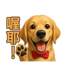てんてんワンちゃん物語（個別スタンプ：29）