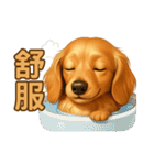 てんてんワンちゃん物語（個別スタンプ：32）