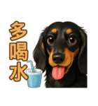 てんてんワンちゃん物語（個別スタンプ：34）