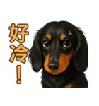 てんてんワンちゃん物語（個別スタンプ：37）