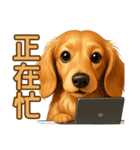 てんてんワンちゃん物語（個別スタンプ：38）