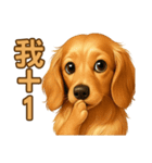 てんてんワンちゃん物語（個別スタンプ：39）