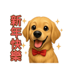 てんてんワンちゃん物語（個別スタンプ：40）