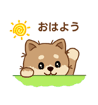 マランちゃんの毎日が楽しい！（個別スタンプ：1）