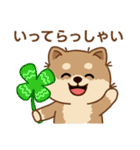 マランちゃんの毎日が楽しい！（個別スタンプ：13）
