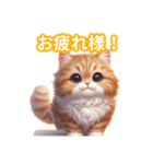とにかくかわいい アメリカンカール（個別スタンプ：1）