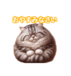 とにかくかわいい アメリカンカール（個別スタンプ：6）