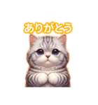 とにかくかわいい アメリカンカール（個別スタンプ：12）