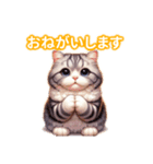 とにかくかわいい アメリカンカール（個別スタンプ：14）