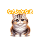 とにかくかわいい アメリカンカール（個別スタンプ：16）