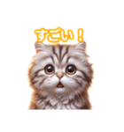 とにかくかわいい アメリカンカール（個別スタンプ：21）