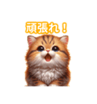 とにかくかわいい アメリカンカール（個別スタンプ：22）