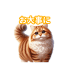 とにかくかわいい アメリカンカール（個別スタンプ：24）