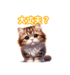 とにかくかわいい アメリカンカール（個別スタンプ：28）