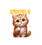 とにかくかわいい アメリカンカール（個別スタンプ：33）