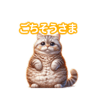 とにかくかわいい アメリカンカール（個別スタンプ：35）