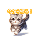 とにかくかわいい アメリカンカール（個別スタンプ：36）