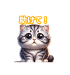 とにかくかわいい アメリカンカール（個別スタンプ：37）