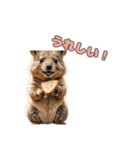 愛らしいクオッカ6（日本語）（個別スタンプ：2）